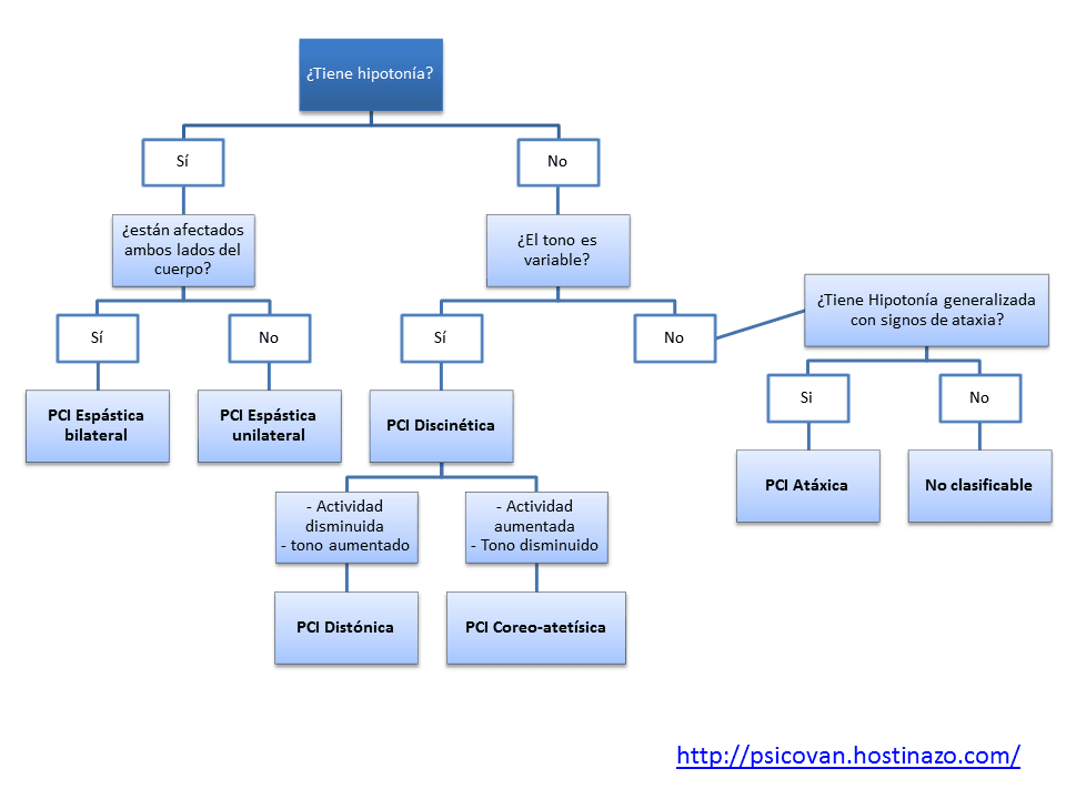 Tipos de parálisis cerebral según el grado de hipertonia