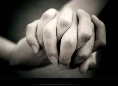 imagen de una caricia