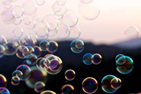 Lo diferente nace de la misma especie, pero no con las mismas necesidades.